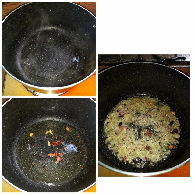 PhotoCollage_1681665607668-01.jpeg