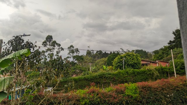 IMG_20251001_144756832.jpg
