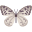 butterfly (3).png