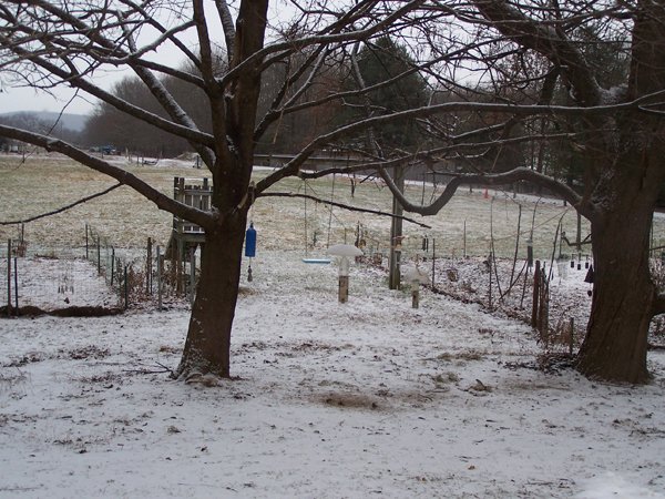 First snow - birdfeeders crop Dec. 2018.jpg