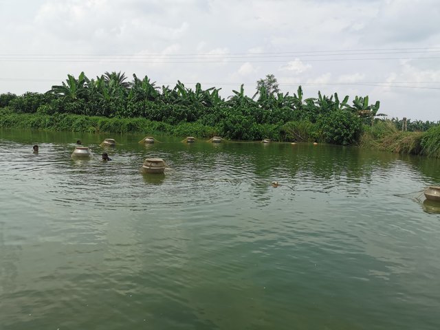 IMG_20240813_133314.jpg