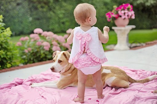 baby-with-dog-7388048__340.jpg