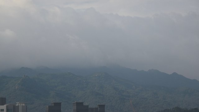 1000136437.jpg