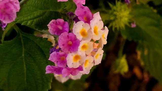 20250403_212020(0).jpg