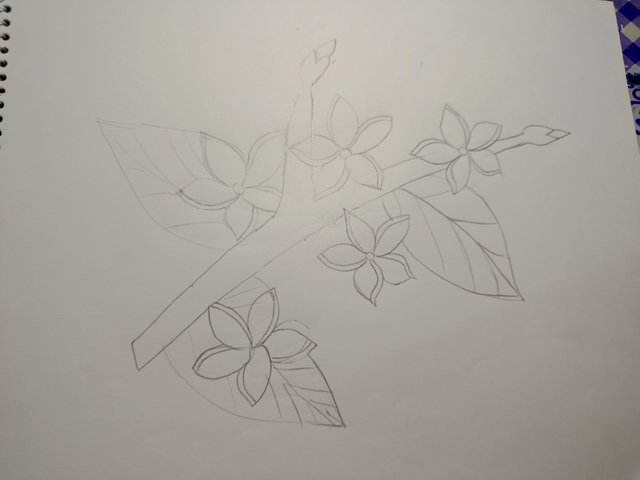 1000032470.jpg