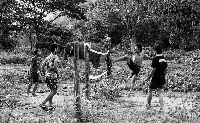 Sepak-Takraw-Fields-SM.jpg