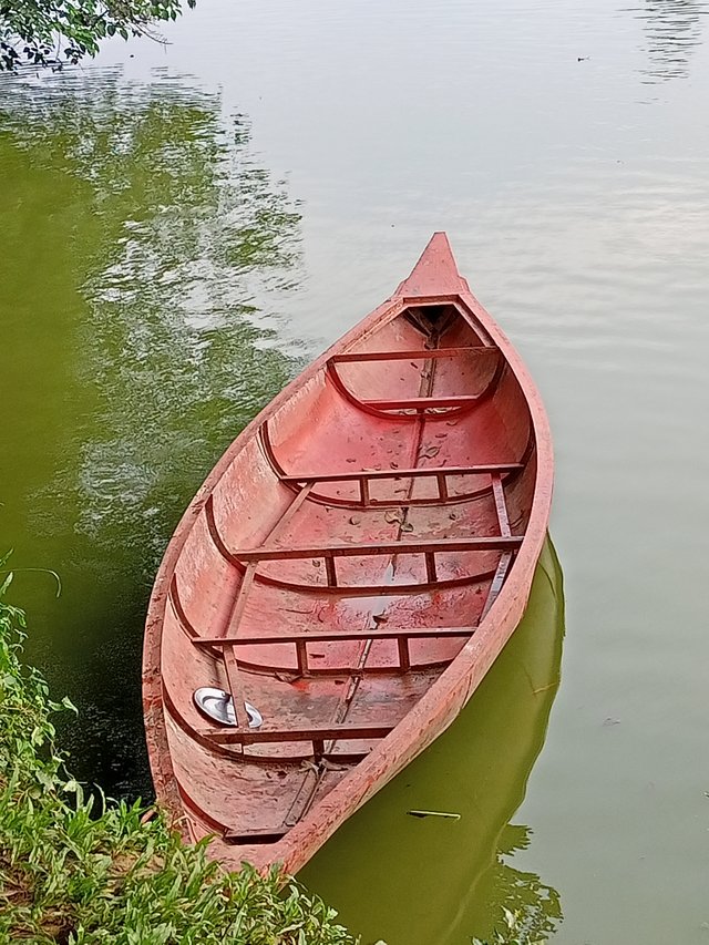 IMG20250710171727.jpg
