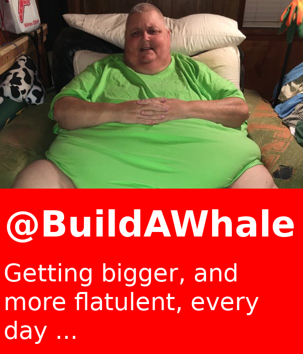 buildawhale2.png