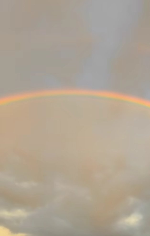 1754406547769.jpg