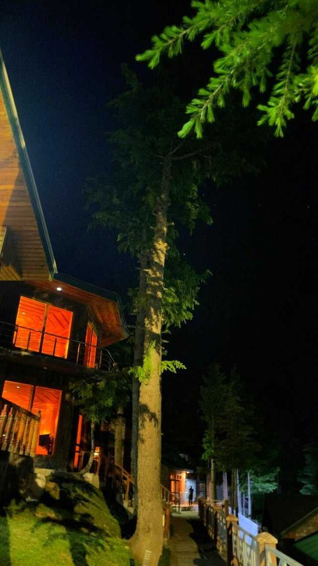 IMG_20250616_212130.jpg