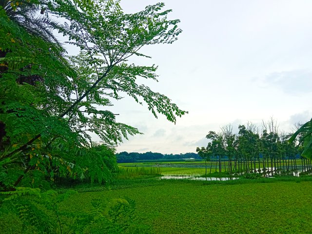 IMG_20250724_210903.jpg