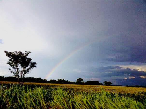 arcoiris en el llano.jpg