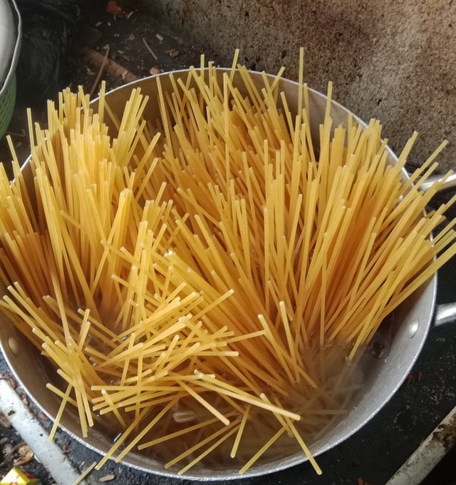 1000962062.jpg