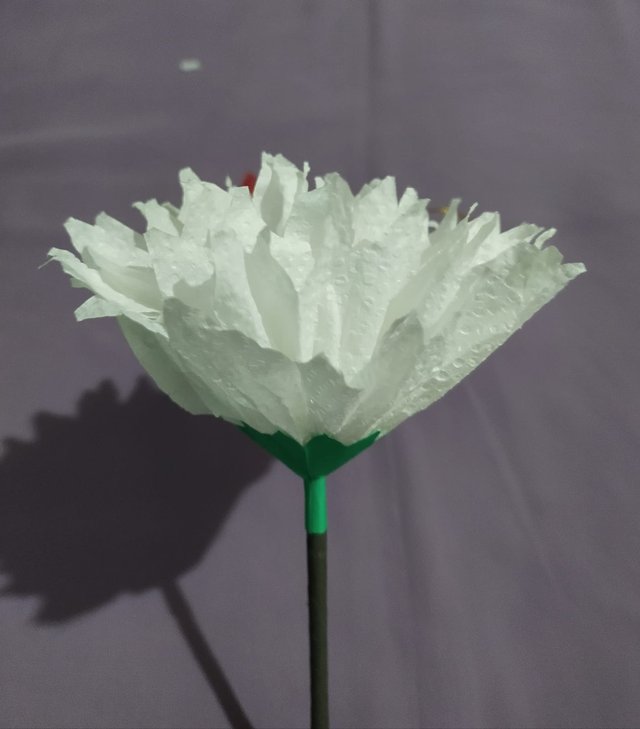 1000015308.jpg