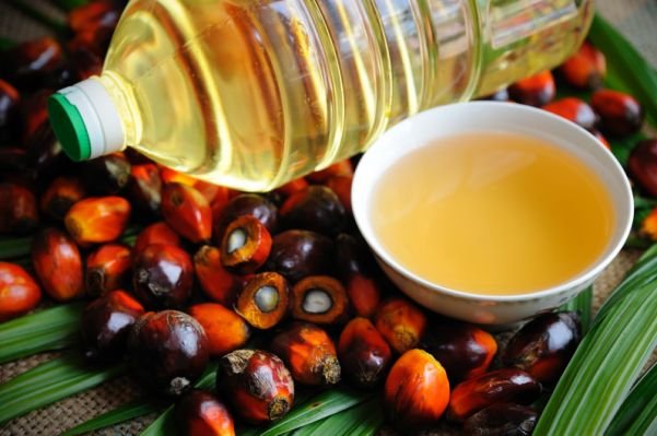 Palm_Oil.jpg.cf.jpg