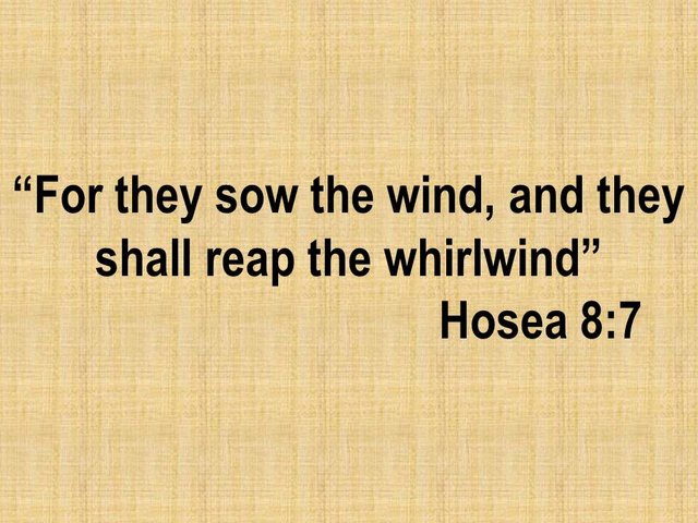 Understanding the faith. For they sow the wind, and they shall reap the whirlwind. Hosea 8,7.jpg