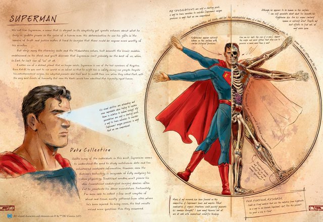 anatomia de um meta humano clark kent super man.jpg