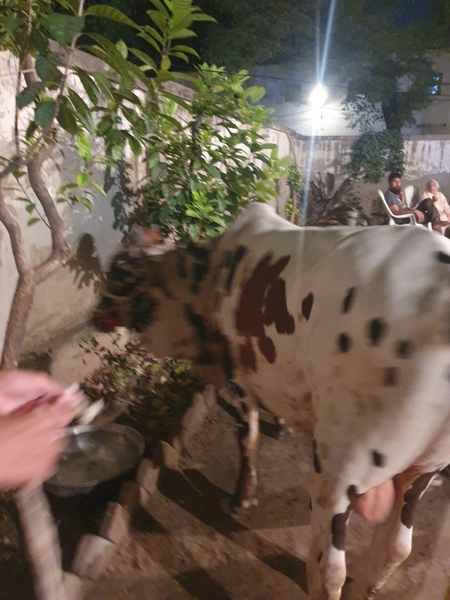 20250606_231501.jpg