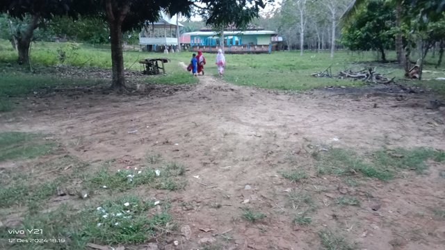 IMG_20241212_181917.jpg