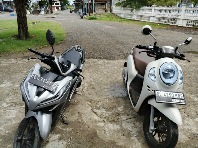 1000054480.jpg