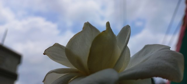 20220612_115403.jpg