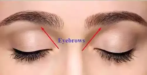 eyebrows-hindi-eyes-in-hindi.jpg