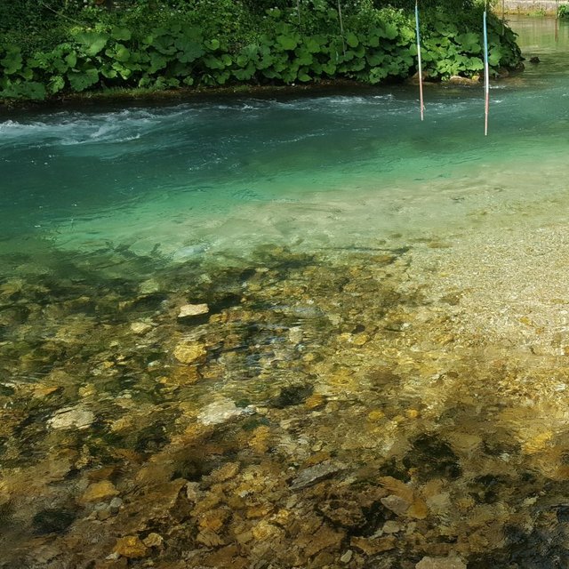 20190615_092821.jpg