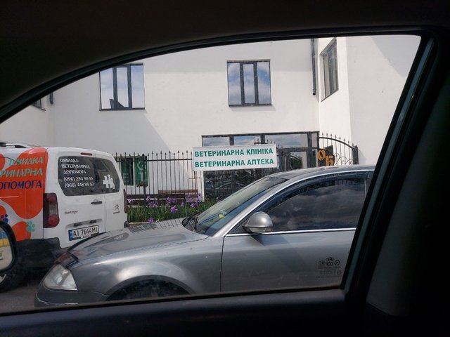 IMG_9531.jpeg