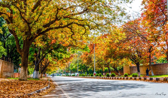 Street with different shades.jpg