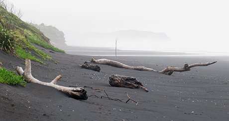 black beach mokau new zealand.jpg