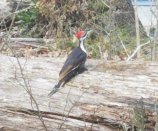 20190407_165928.jpg