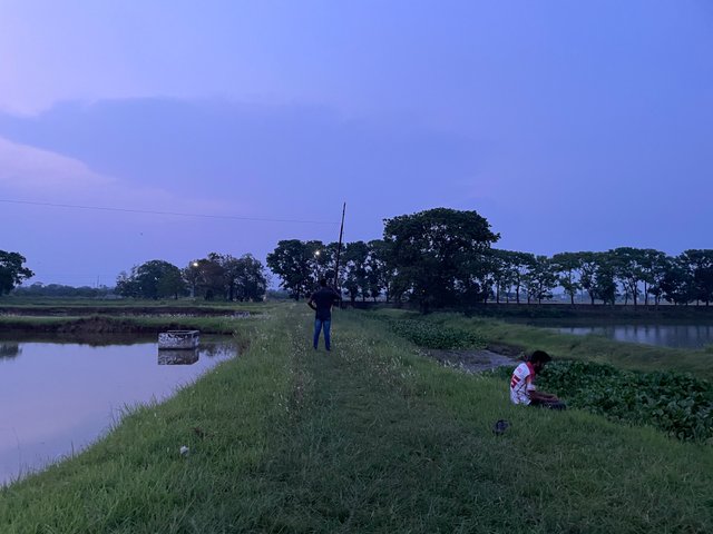 IMG_3136.jpeg