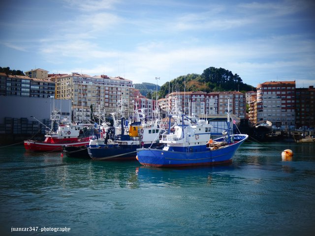 P1260801_edited.jpg