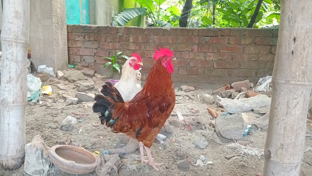 20250822_090530.jpg