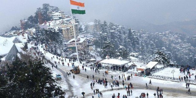 Shimla-201830100059-201830100059.jpg