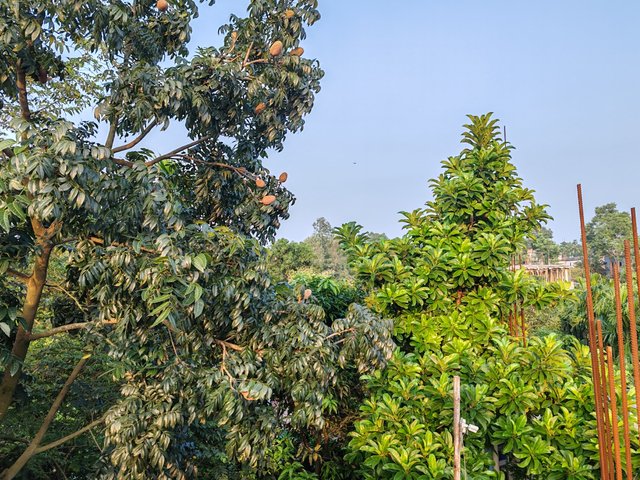 1000063381.jpg