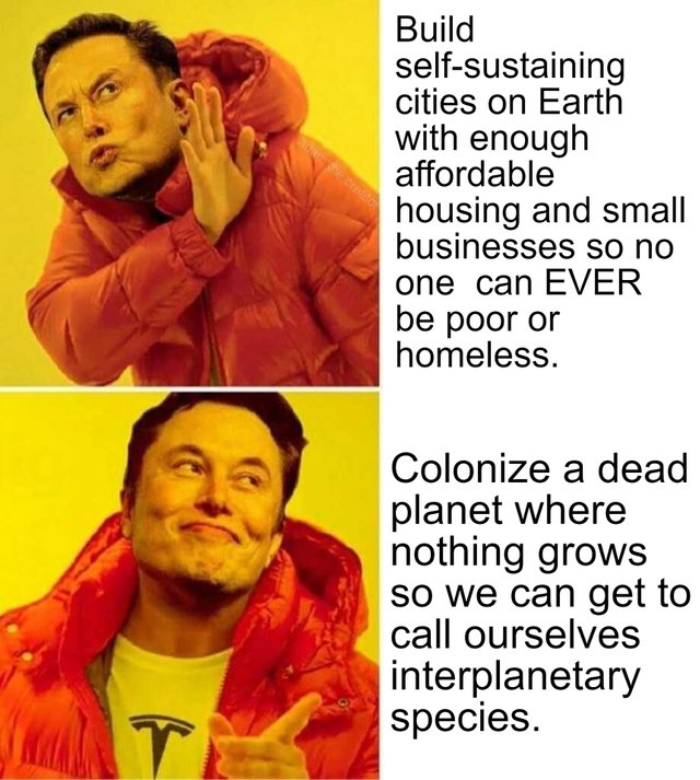 Ready Or Not, Elon Musk Is Dragging Everyone Into The Interplanetary Species Status.jpeg