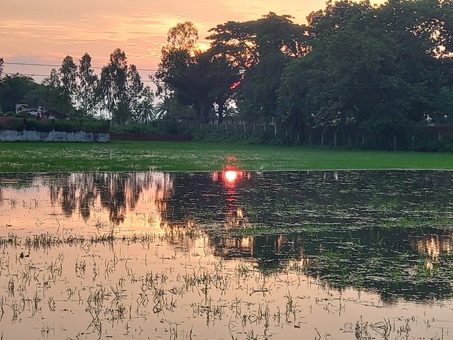 20250716_184206.jpg