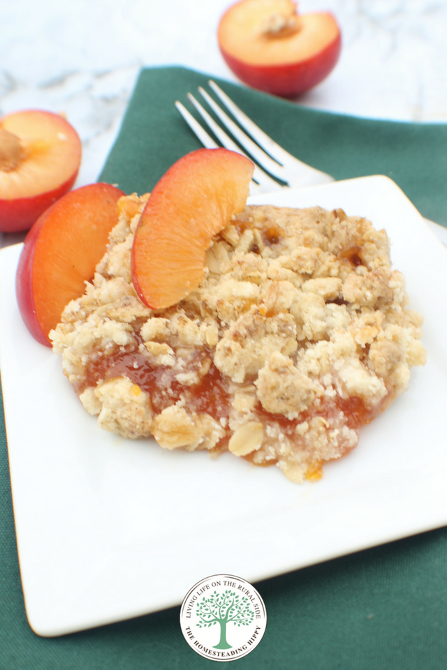 apricot oat bars pin 2.png