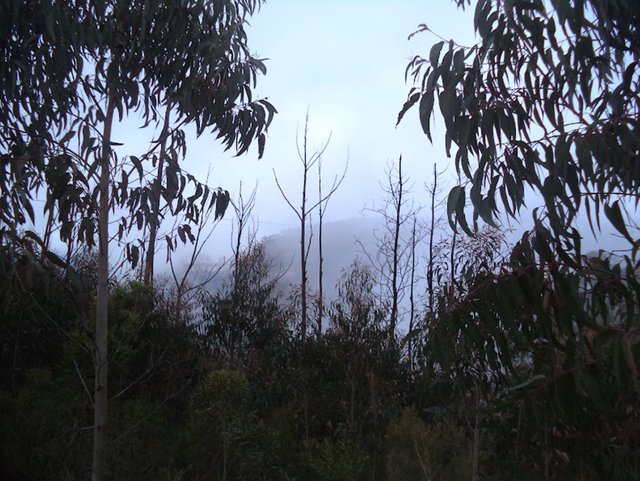 DSC09428.JPG