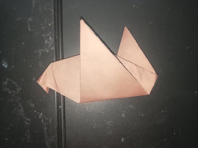 1000025776.jpg