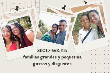 SEC17 WK_#3_ familias grandes y pequeñas, gustos y disgustos_20240426_175538_0000.png