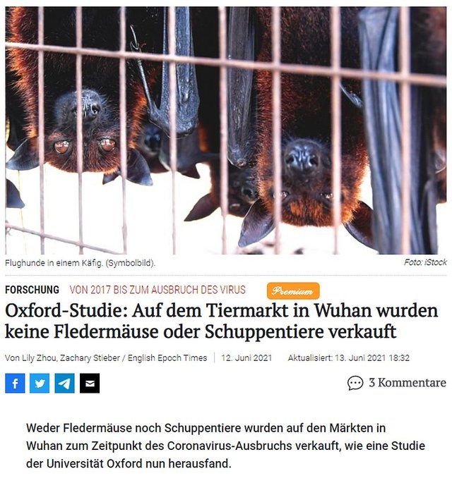 Oxford-Studie Auf dem Tiermarkt in Wuhan wurden keine Fledermäuse oder Schuppentiere verkauft.jpg