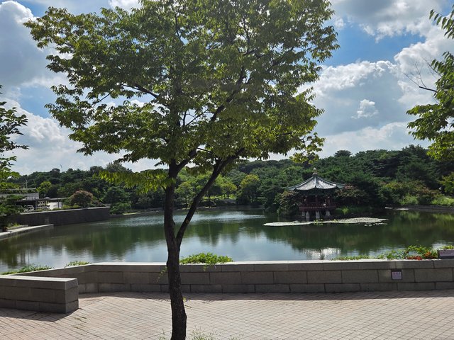 20250816_095824.jpg