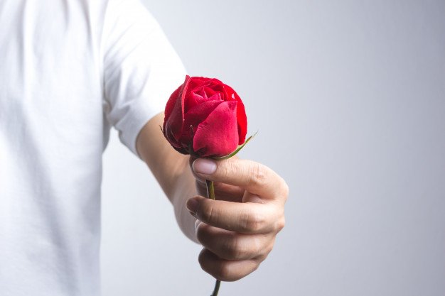 a-man-hand-with-red-rose-flower_33745-17.jpg