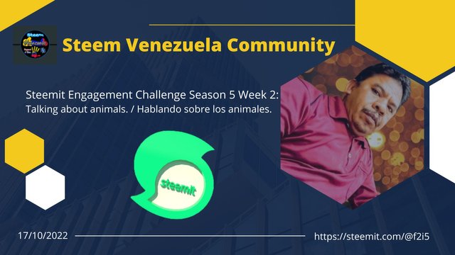 About Steemit Engagement Contest Season4 Week #1 (8).jpg