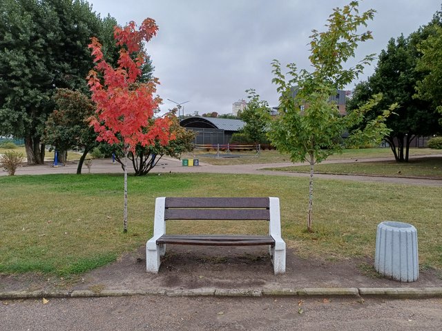 20250918_092958.jpg