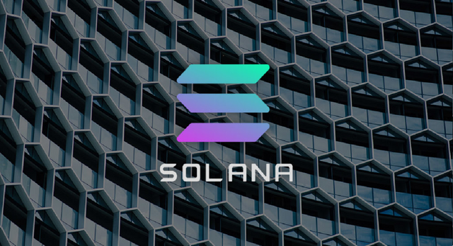 solanaa.png