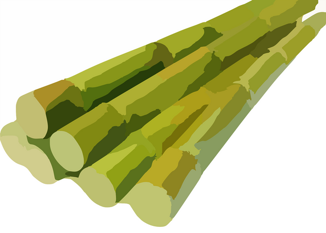 sugarcane-311914_1280.png