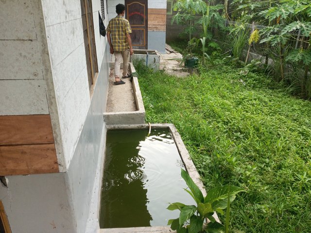 IMG_20250816_172112_858.jpg
